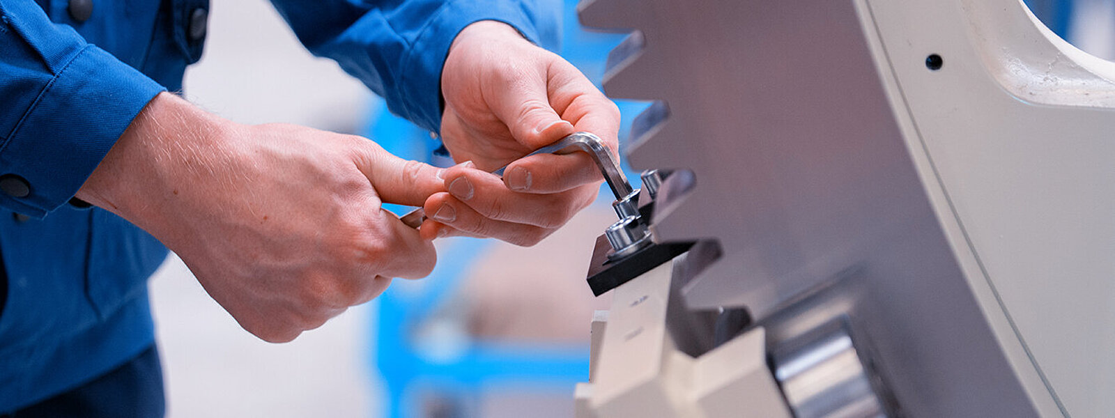 Lifecycle-services-Header.jpg